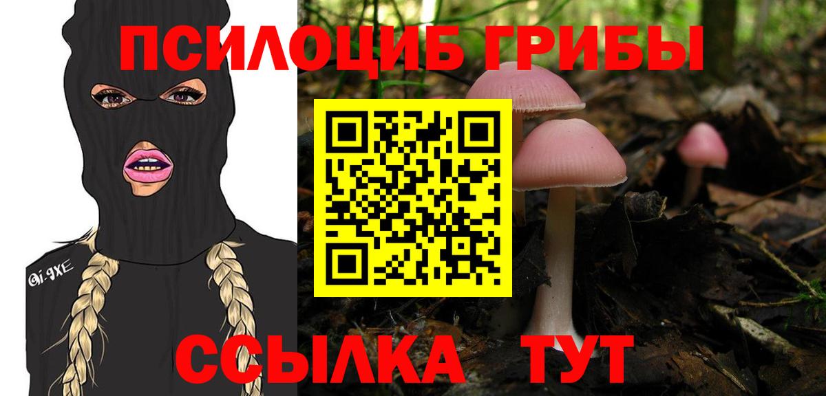 Псилоцибиновые грибы Psilocybine cubensis Луховицы